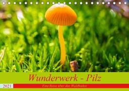 Wunderwerk - Pilz Eine Reise über den Waldboden (Tischkalender 2021 DIN A5 quer)