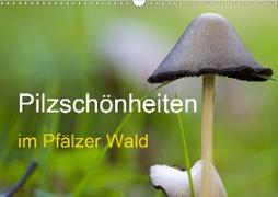 Pilzschönheiten im Pfälzer Wald (Wandkalender 2021 DIN A3 quer)
