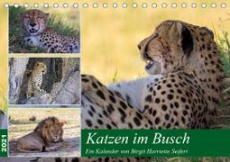 Katzen im Busch (Tischkalender 2021 DIN A5 quer)