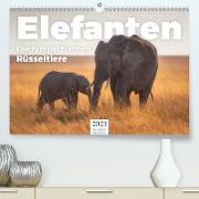 Elefanten - Die sympathischen Rüsseltiere (Premium, hochwertiger DIN A2 Wandkalender 2021, Kunstdruck in Hochglanz)