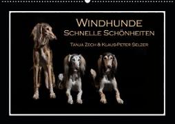 Windhunde - Schnelle Schönheiten (Wandkalender 2021 DIN A2 quer)