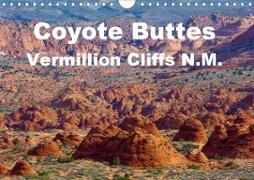 Coyote Buttes Vermillion Cliffs N.M. (Wall Calendar 2021 DIN A4 Landscape)