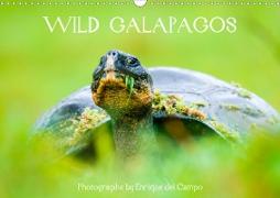 WILD GALAPAGOS (Wall Calendar 2021 DIN A3 Landscape)