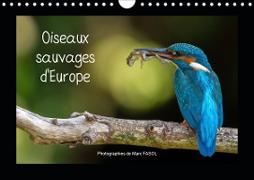 Oiseaux sauvages d'Europe (Calendrier mural 2021 DIN A4 horizontal)