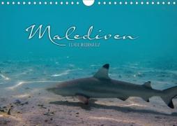 Unterwasserwelt der Malediven I (Wandkalender 2021 DIN A4 quer)