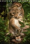 Luchs (Tischkalender 2021 DIN A5 hoch)