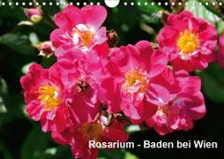 Baden bei Wien - Rosarium (Wandkalender 2021 DIN A4 quer)