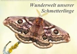 Wunderwelt unserer Schmetterlinge (Wandkalender 2021 DIN A2 quer)