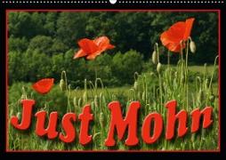 Just Mohn (Wandkalender 2021 DIN A2 quer)