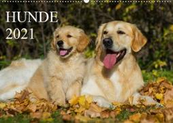 Hunde - Treue Freunde für´s Leben (Wandkalender 2021 DIN A2 quer)