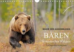 Magie des Augenblicks - Bären in nordischen Wäldern (Wandkalender 2021 DIN A4 quer)