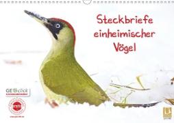 Steckbriefe einheimischer Vögel (Wandkalender 2021 DIN A3 quer)