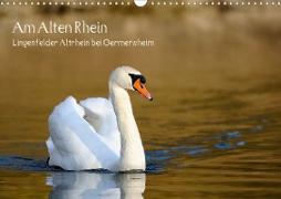 Am Alten Rhein - Lingenfelder Altrhein bei Germersheim (Wandkalender 2021 DIN A3 quer)
