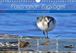 Faszination Zugvögel - Rekorde in der Vogelwelt (Wandkalender 2021 DIN A4 quer)