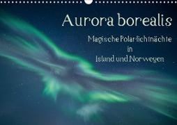 Aurora borealis - Magische Polarlichtnächte in Island und Norwegen (Wandkalender 2021 DIN A3 quer)