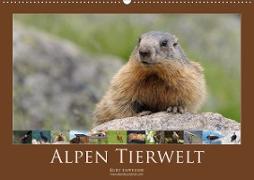 Alpen Tierwelt (Wandkalender 2021 DIN A2 quer)