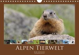Alpen Tierwelt (Wandkalender 2021 DIN A4 quer)