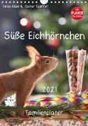 Süße Eichhörnchen (Wandkalender 2021 DIN A4 hoch)