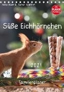 Süße Eichhörnchen (Tischkalender 2021 DIN A5 hoch)