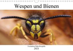 Faszination Makrofotografie: Wespen und Bienen (Wandkalender 2021 DIN A4 quer)