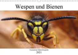 Faszination Makrofotografie: Wespen und Bienen (Wandkalender 2021 DIN A3 quer)