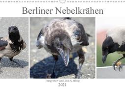Berliner Nebelkrähen (Wandkalender 2021 DIN A3 quer)