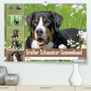 Großer Schweizer Sennenhund (Premium, hochwertiger DIN A2 Wandkalender 2021, Kunstdruck in Hochglanz)