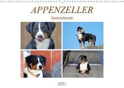 Appenzeller Sennenhunde (Wandkalender 2021 DIN A3 quer)