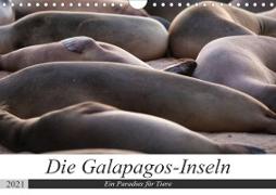 Galapagos-Inseln - Ein Paradies für Tiere (Wandkalender 2021 DIN A4 quer)