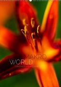 Makro World (Wandkalender 2021 DIN A2 hoch)