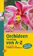 Orchideen im Haus von A - Z