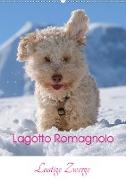 Lagotto Romagnolo - Lustige Zwerge (Wandkalender 2021 DIN A2 hoch)