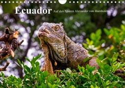 Ecuador - Auf den Spuren Alexander von Humboldts (Wandkalender 2021 DIN A4 quer)