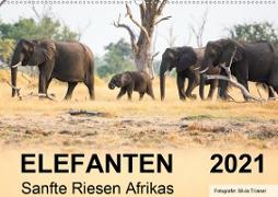 Elefanten - Sanfte Riesen Afrikas (Wandkalender 2021 DIN A2 quer)