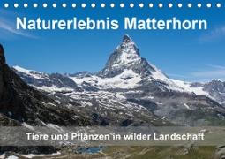 Naturerlebnis Matterhorn (Tischkalender 2021 DIN A5 quer)