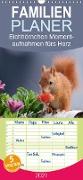 Eichhörnchen Momentaufnahmen fürs Herz - Familienplaner hoch (Wandkalender 2021 , 21 cm x 45 cm, hoch)