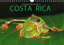COSTA RICA - Tierische Momente (Wandkalender 2021 DIN A4 quer)
