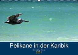 Pelikane in der Karibik - Die vielfältige Tierwelt (Wandkalender 2021 DIN A2 quer)