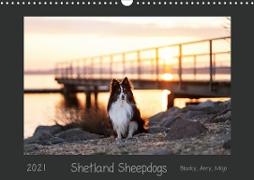 Shetland Sheepdogs Blacky, Anry, Mojo 2021 (Wandkalender 2021 DIN A3 quer)