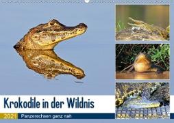 Krokodile in der Wildnis (Wandkalender 2021 DIN A2 quer)