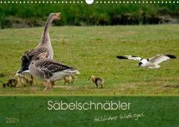 Säbelschnäbler - tollkühne Wattvögel (Wandkalender 2021 DIN A3 quer)
