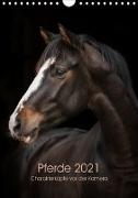 Pferde 2021 - Charakterköpfe vor der Kamera (Wandkalender 2021 DIN A4 hoch)