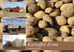 Kartoffel-Ernte - hautnah erleben (Wandkalender 2021 DIN A3 quer)