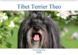Tibet Terrier Theo (Wandkalender 2021 DIN A2 quer)