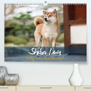 Shiba Inu - mutig, treu, selbstbewusst (Premium, hochwertiger DIN A2 Wandkalender 2021, Kunstdruck in Hochglanz)