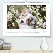 Herzensaussies - Australian Shepherd (Premium, hochwertiger DIN A2 Wandkalender 2021, Kunstdruck in Hochglanz)