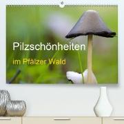 Pilzschönheiten im Pfälzer Wald (Premium, hochwertiger DIN A2 Wandkalender 2021, Kunstdruck in Hochglanz)