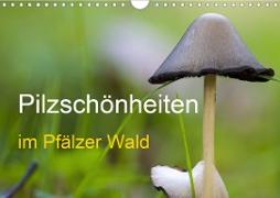Pilzschönheiten im Pfälzer Wald (Wandkalender 2021 DIN A4 quer)