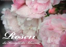 Rosen, die Königin der Blumen (Wandkalender 2021 DIN A2 quer)