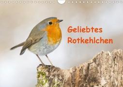 Geliebtes Rotkehlchen (Wandkalender 2021 DIN A4 quer)